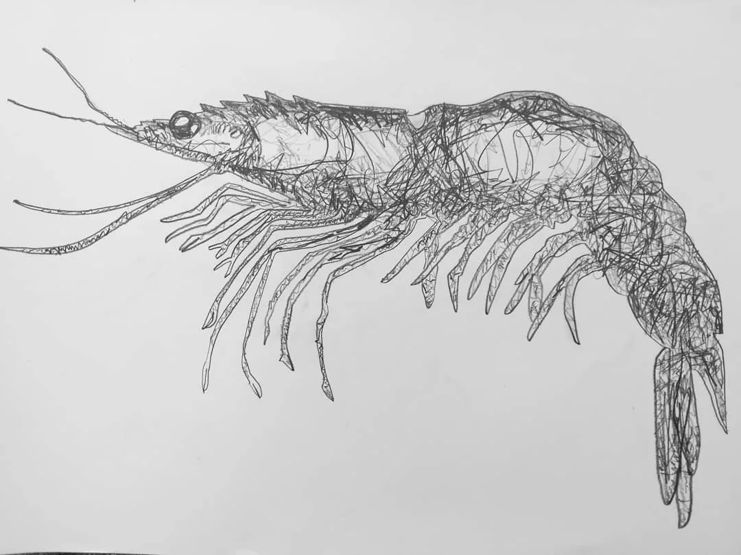 Drawing