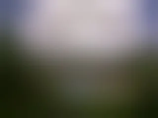 Proposals