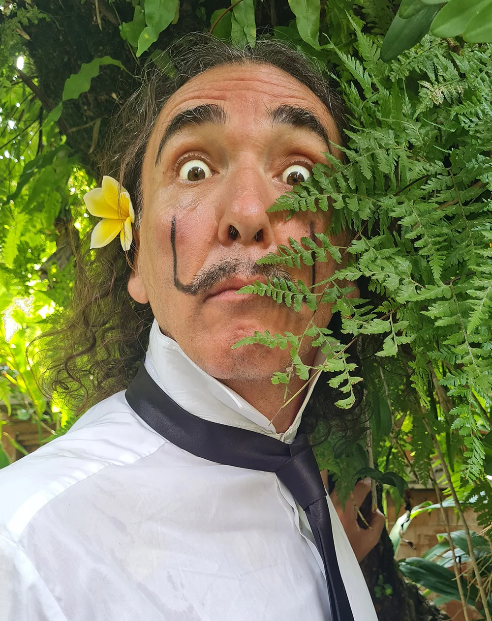 Dali In Bali