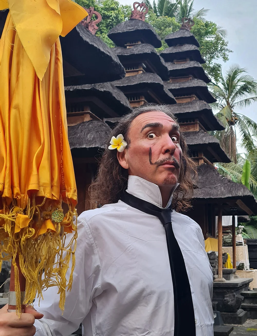 Dali In Bali