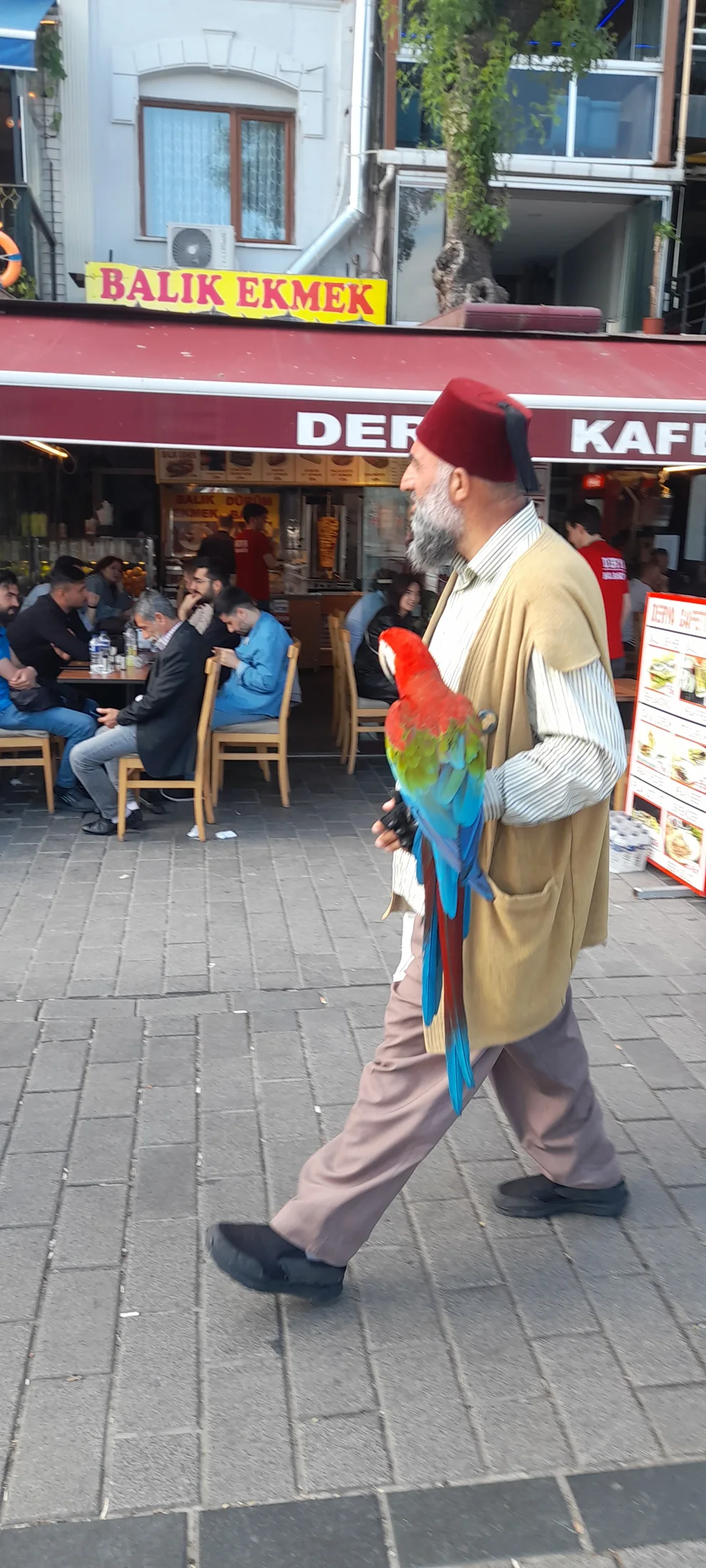 Karakoyde Karakoy