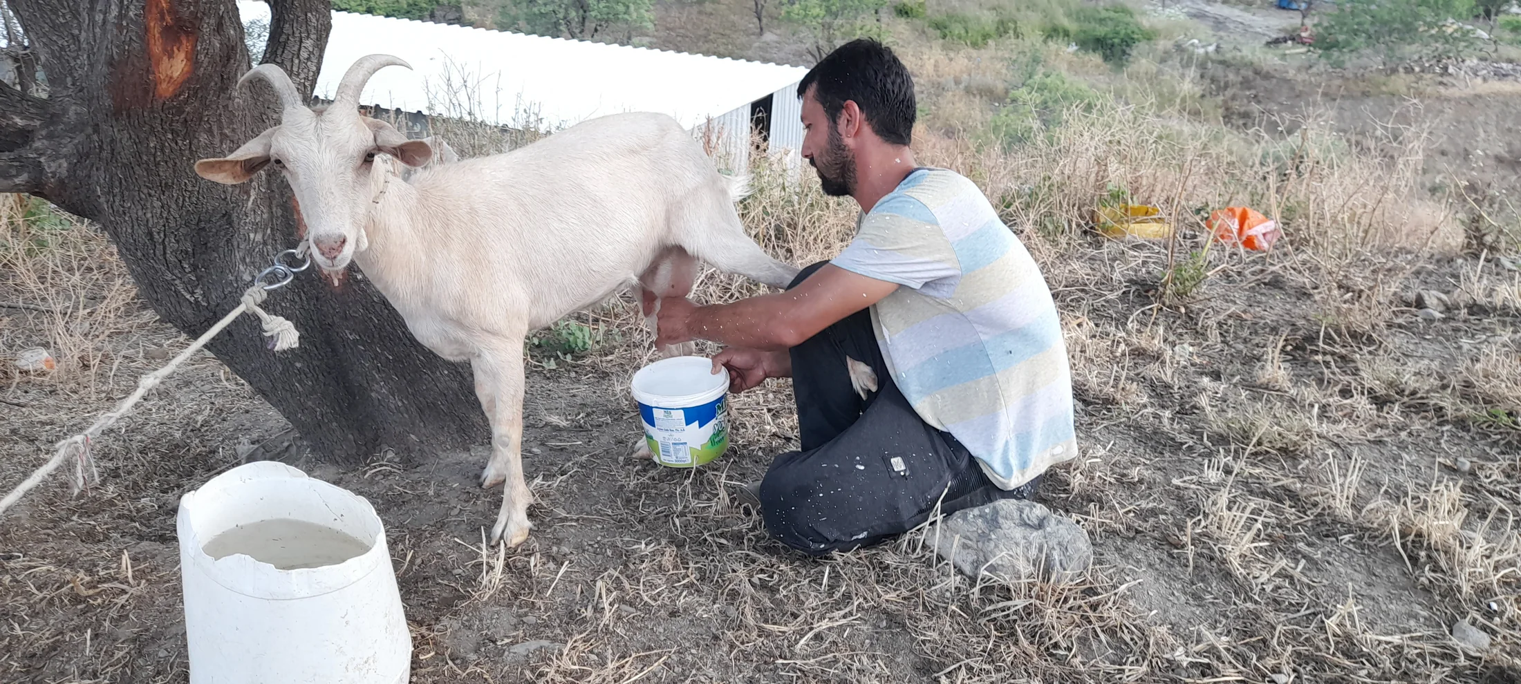 Karakoyde Karakoy