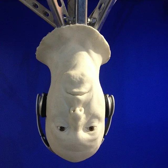 Bust